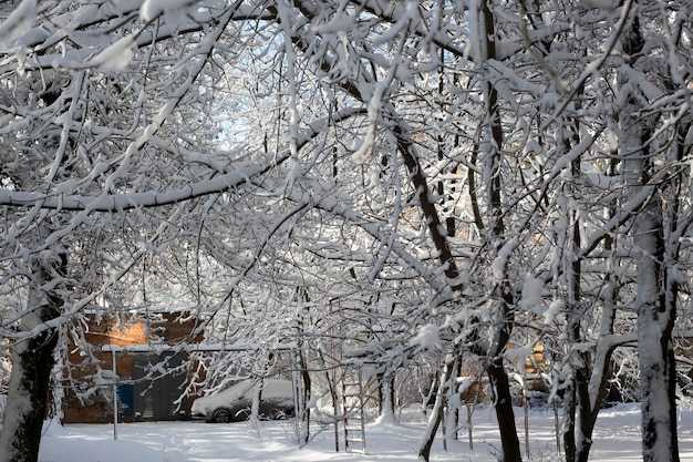 Paisaje de invierno con nieve caída en los árboles y acera