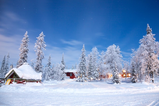 Paisaje de invierno en la noche