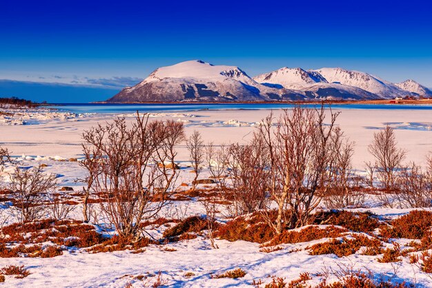 Paisaje de invierno noruega