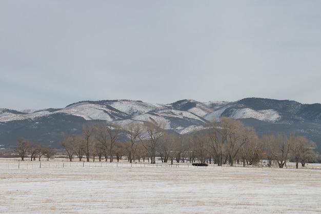 Paisaje de invierno en Nuevo México