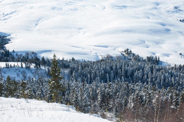 Paisaje de invierno pacífico