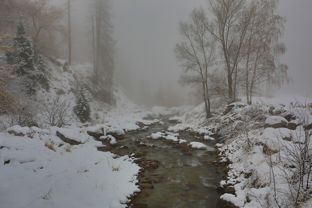 paisaje de invierno con río de montaña
