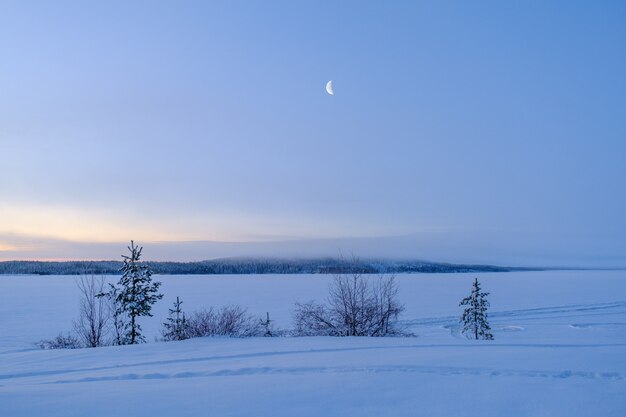 Paisaje de invierno en Rusia. Luna nueva sobre el bosque