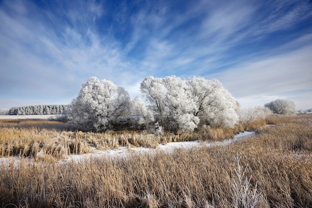Foto paisaje de invierno en rusia