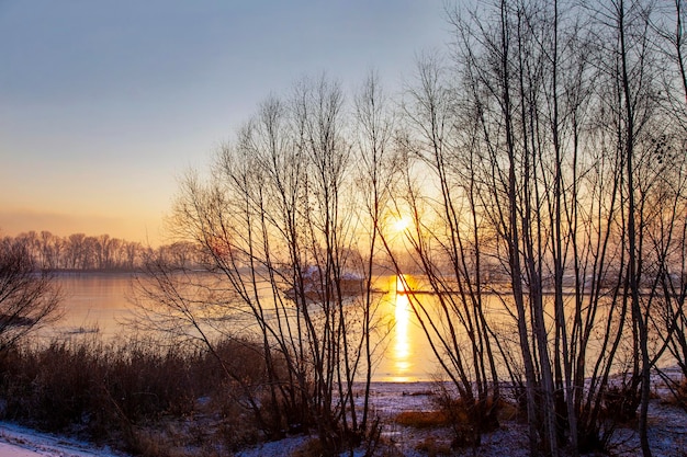 Paisaje de invierno ruso al atardecer con siluetas de árboles