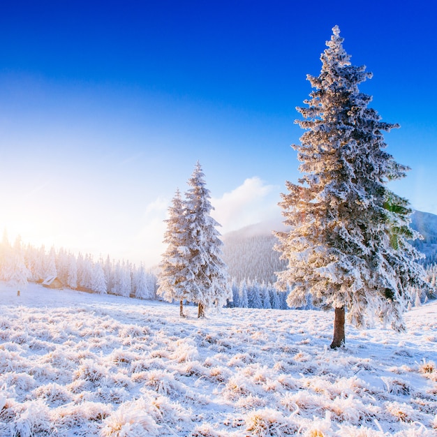 Paisaje de invierno soleado