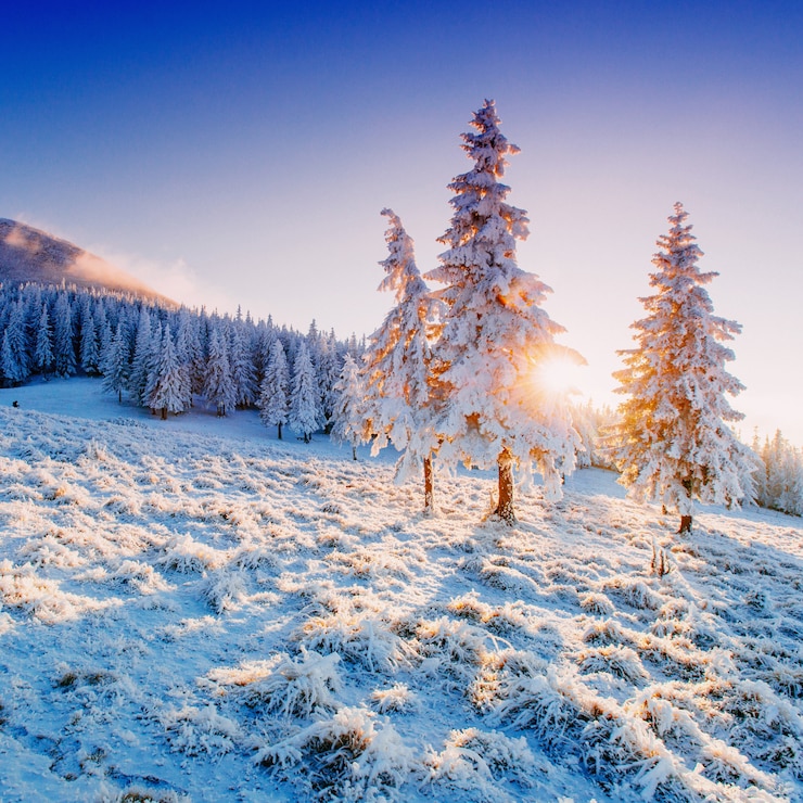 Foto paisaje de invierno soleado