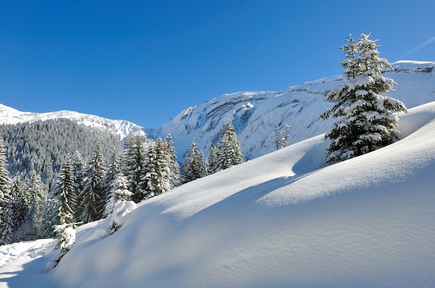 Paisaje de invierno