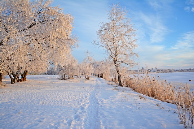 Paisaje de invierno