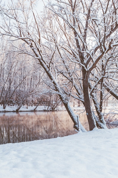 Paisaje de invierno