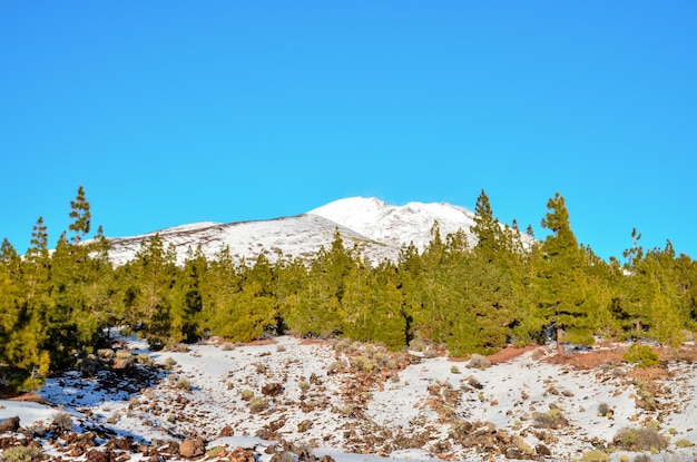 Paisaje de invierno