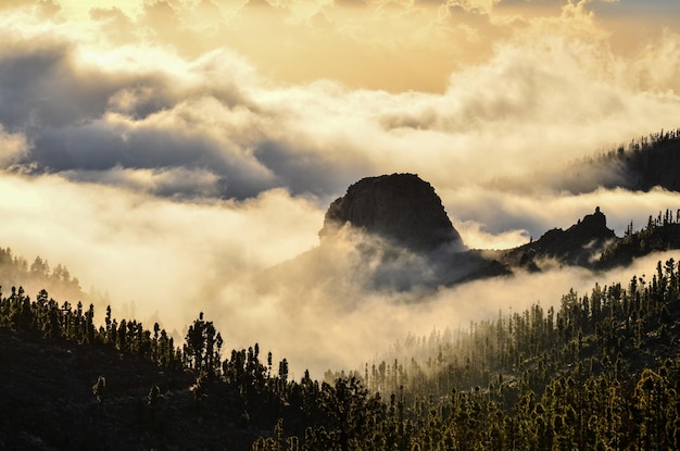 Paisaje de invierno