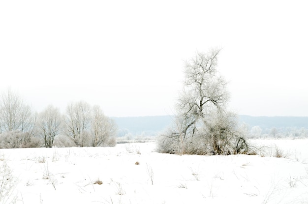 Paisaje de invierno