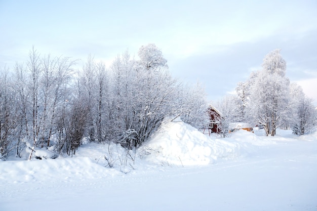 Paisaje de invierno