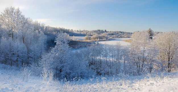 Paisaje de invierno