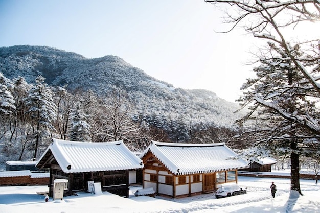 Paisaje de invierno