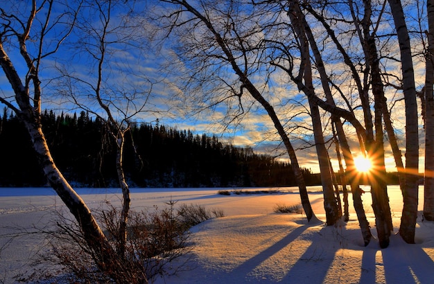 Paisaje de invierno