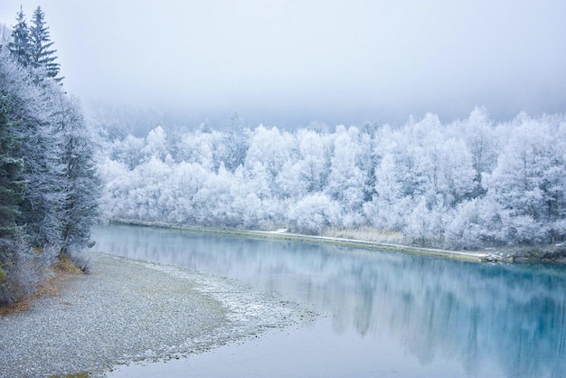 Paisaje de invierno