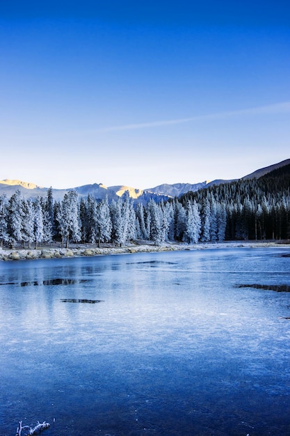 Paisaje de invierno