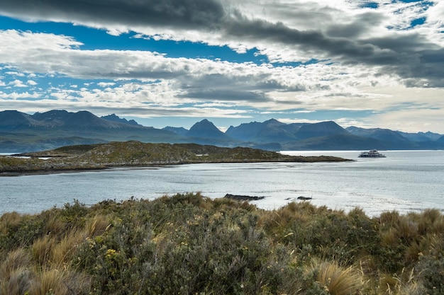 Paisaje de la isla de Bridges con montañas en el fondo y un pájaro anidando entre la vegetación