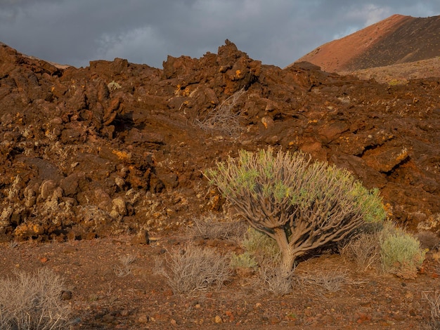 Paisaje de la isla de El Hierro España