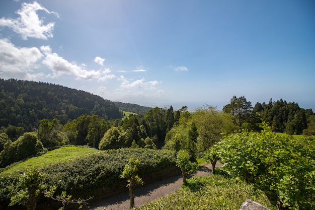 Paisaje de la isla de sao miguel