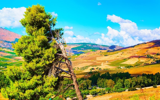 Paisaje italiano con paisaje y cielo azul en verano de Segesta en la isla de Sicilia. Descensos y montañas naturaleza y al aire libre en Italia. Viajes o vacaciones de vacaciones.