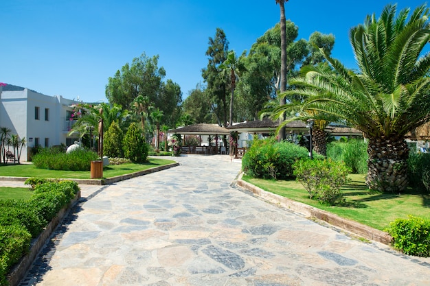 Paisaje jardín hotel resorts Turquía hermoso árbol palmera