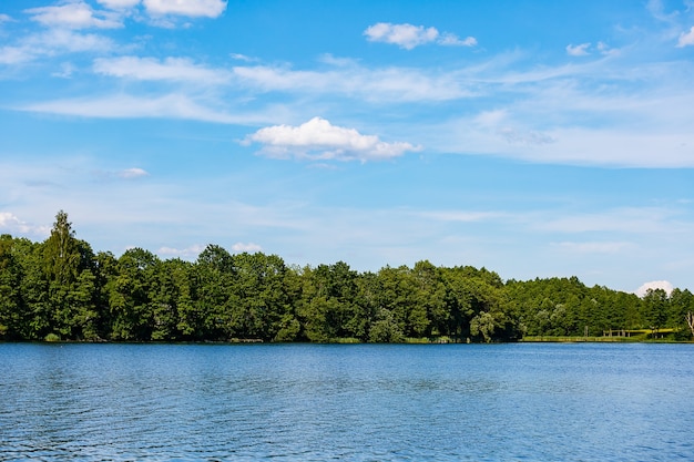 Paisaje de julio en un lago tranquilo.