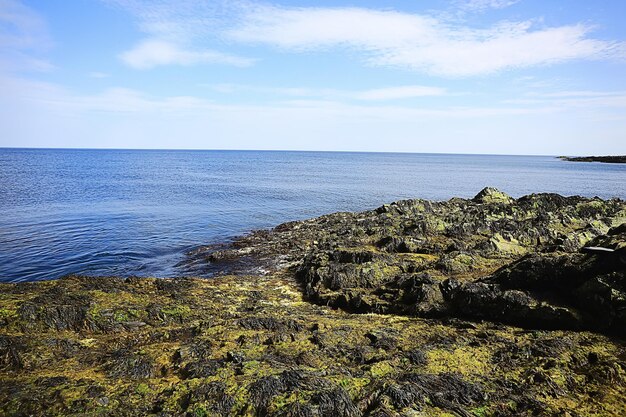 paisaje junto al lago vista de verano, naturaleza del norte, ecología de la costa