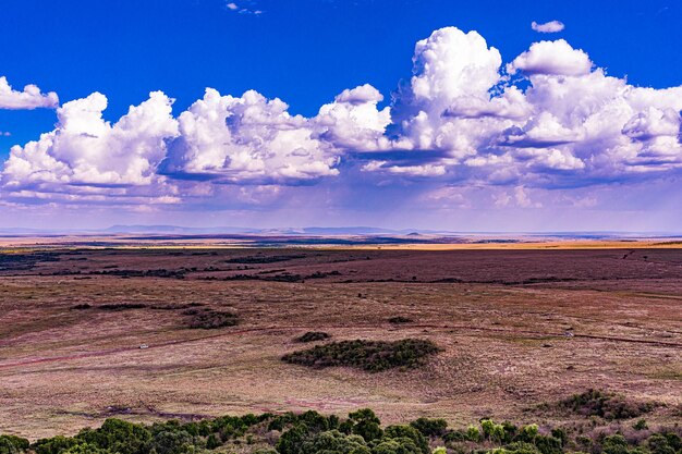 Paisaje de Kenia Savanna Grassland Maasai Mara Reserva Nacional de Caza Parque del Condado de Narok Desierto