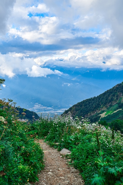 Paisaje de la ladera de una montaña cubierta de hierba