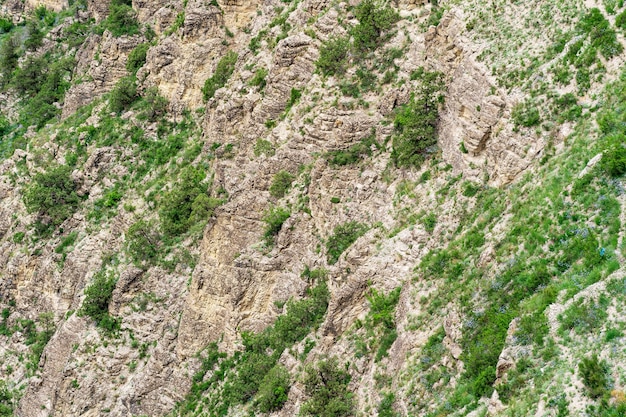 Paisaje de la ladera de una montaña con rocas erosionadas y pedregales cubiertos de arbustos