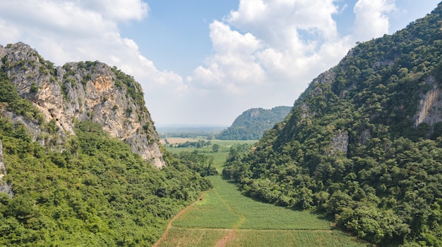 Paisaje de ladera de pradera de montaña boscosa