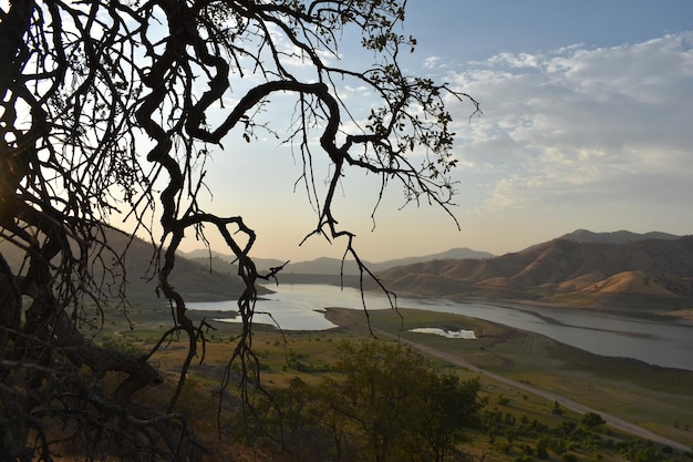 Paisaje de lago y árboles al atardecer