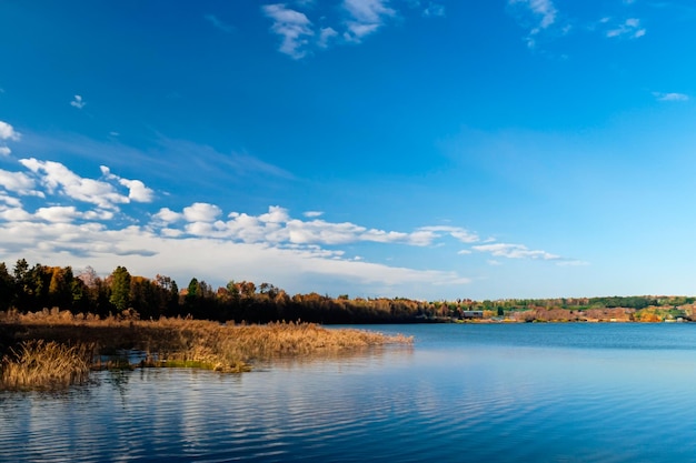 Un paisaje de un lago azul en medio de la vegetación