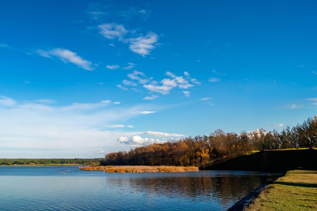 Un paisaje de un lago azul en medio de la vegetación