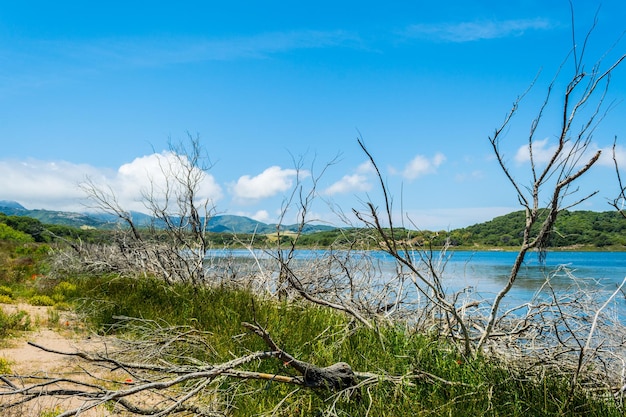 Paisaje del lago Baratz