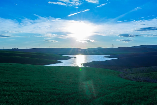 Paisaje del lago en campo verde