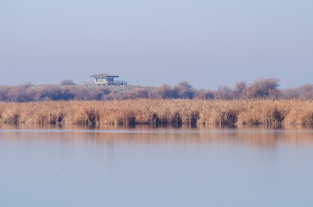 Paisaje de un lago con cañas y árboles otoñales y una casa que lo domina.