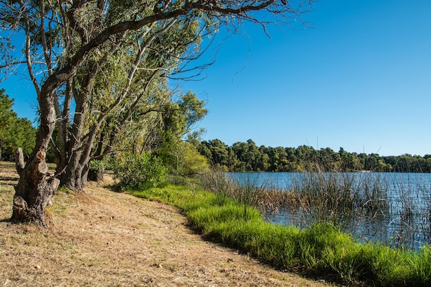 Paisaje de un lago en Canelones Uruguay