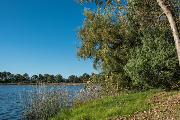 Paisaje de un lago en Canelones Uruguay