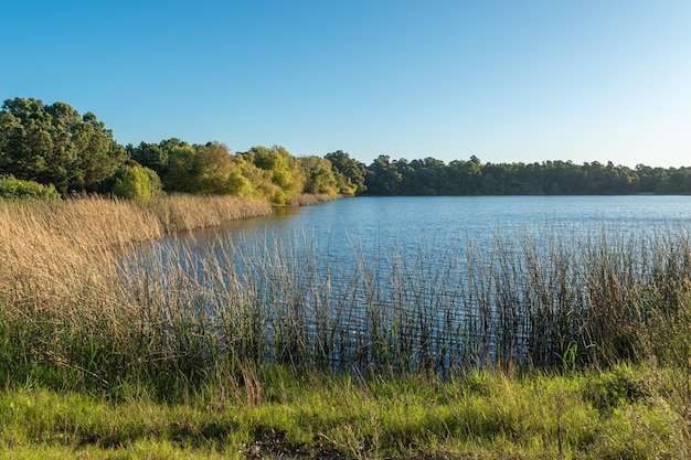 Paisaje de un lago en Canelones Uruguay