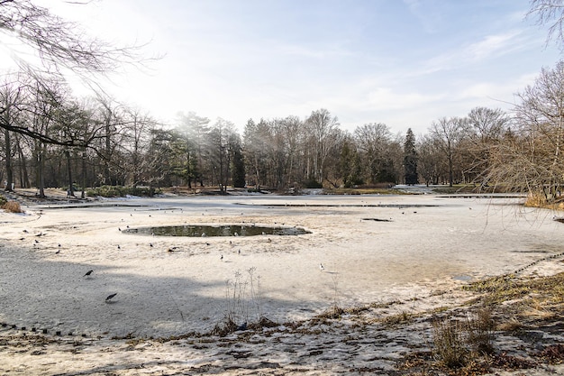 Foto paisaje con un lago congelado en el parque lazienki krolewskie en varsovia en polonia en un soleado día de invierno