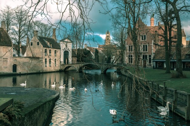 Paisaje en el lago Minnewater en Brujas, Bélgica