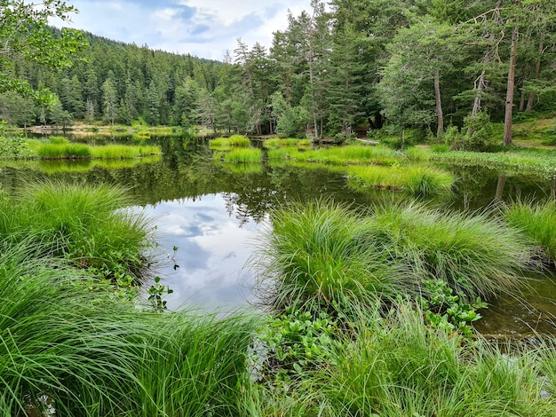 Paisaje con lago en las montañas austriacas