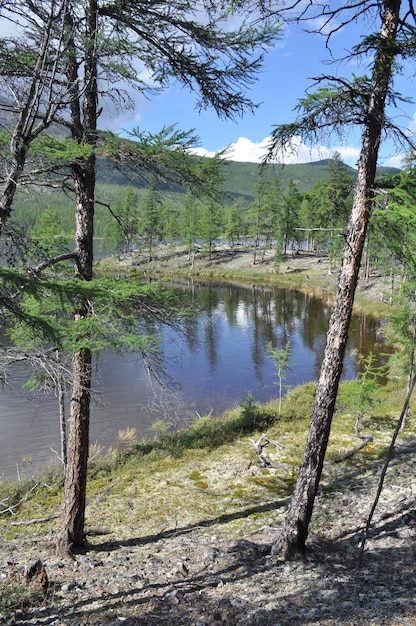 Paisaje con un lago y montañas a lo largo de las orillas.