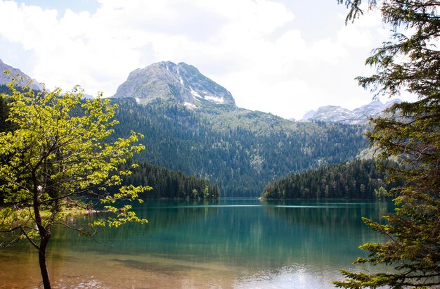 Paisaje del lago negro en Montenegro. Paisaje de montaña