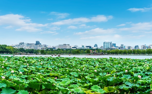 Paisaje del lago del oeste en Hangzhou