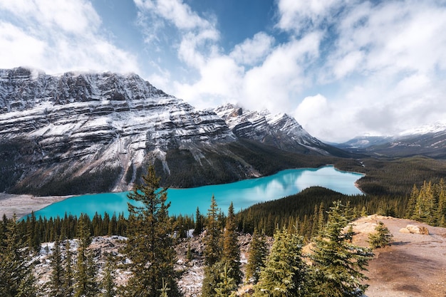 Foto el paisaje del lago peyto se asemeja al zorro en otoño en el parque nacional de banff en alberta, canadá